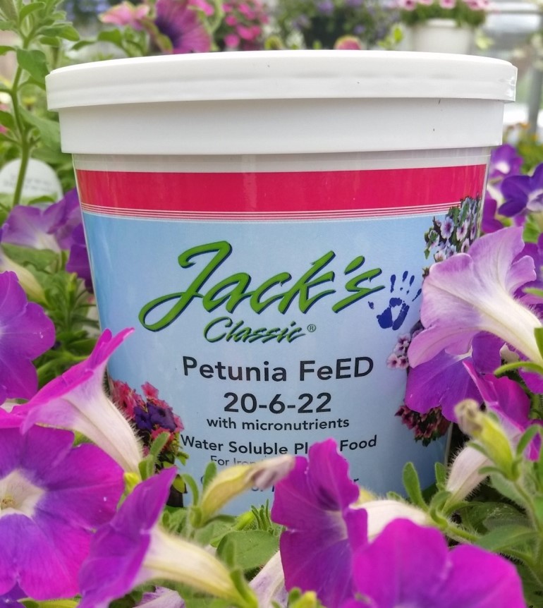 fertilizer for petunia