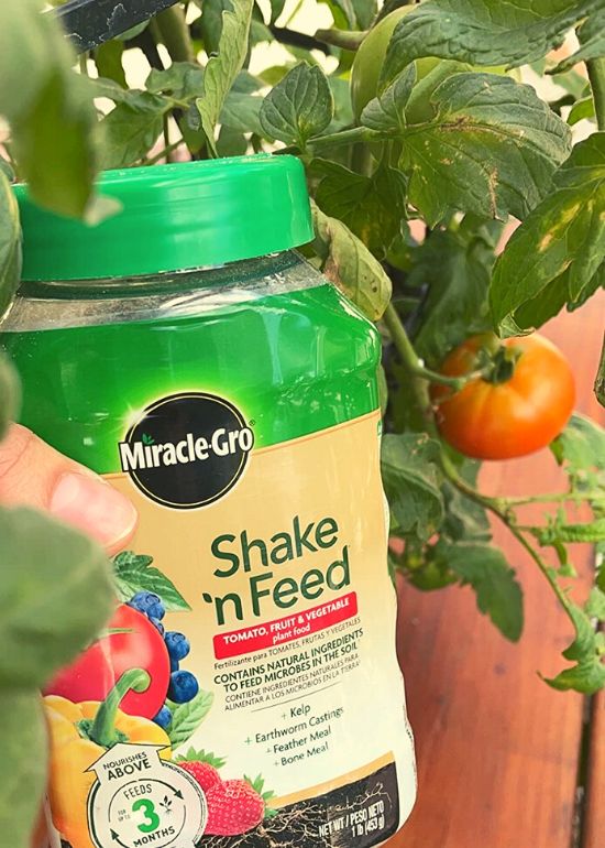 fertilizers for vegetables