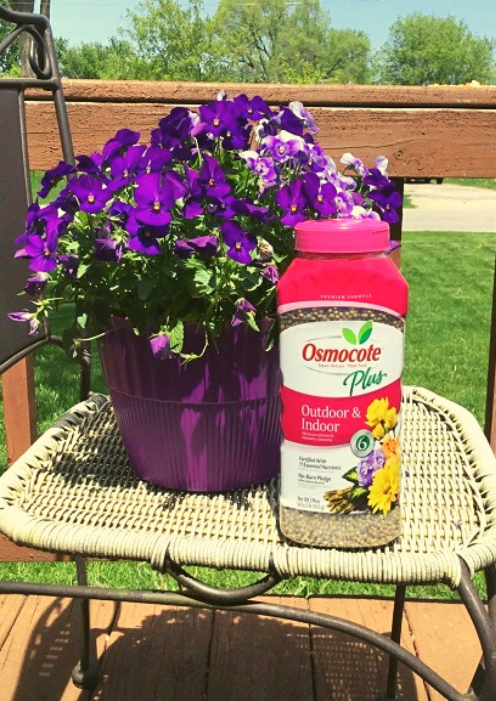 8 Best Fertilizers for Vegetable Garden How To Use Them