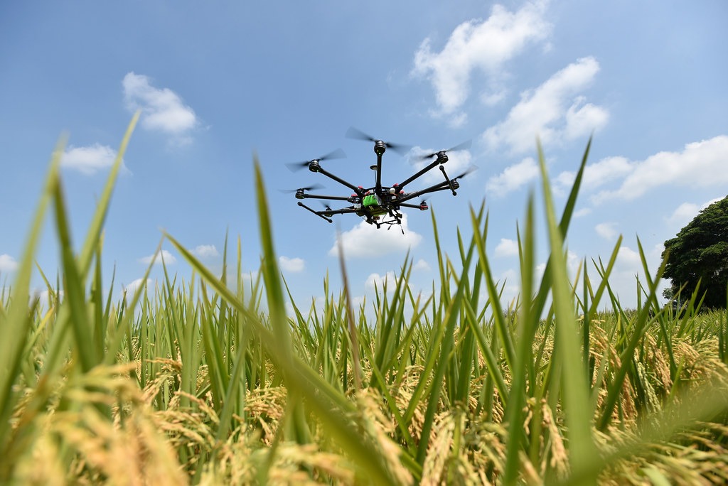 drone for agricultural use