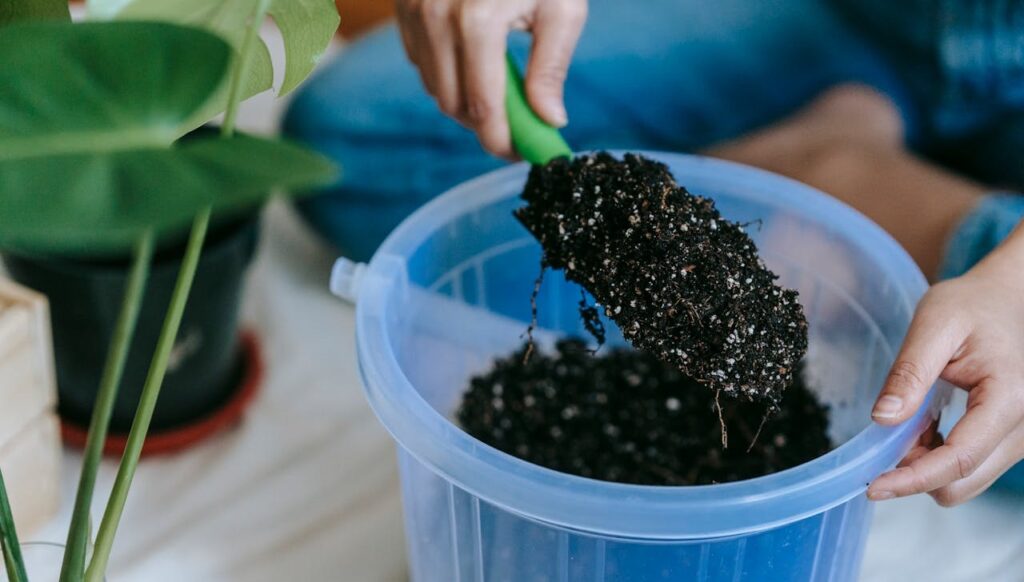 What Is 16 16 16 Fertilizer How Does It Help In Gardening