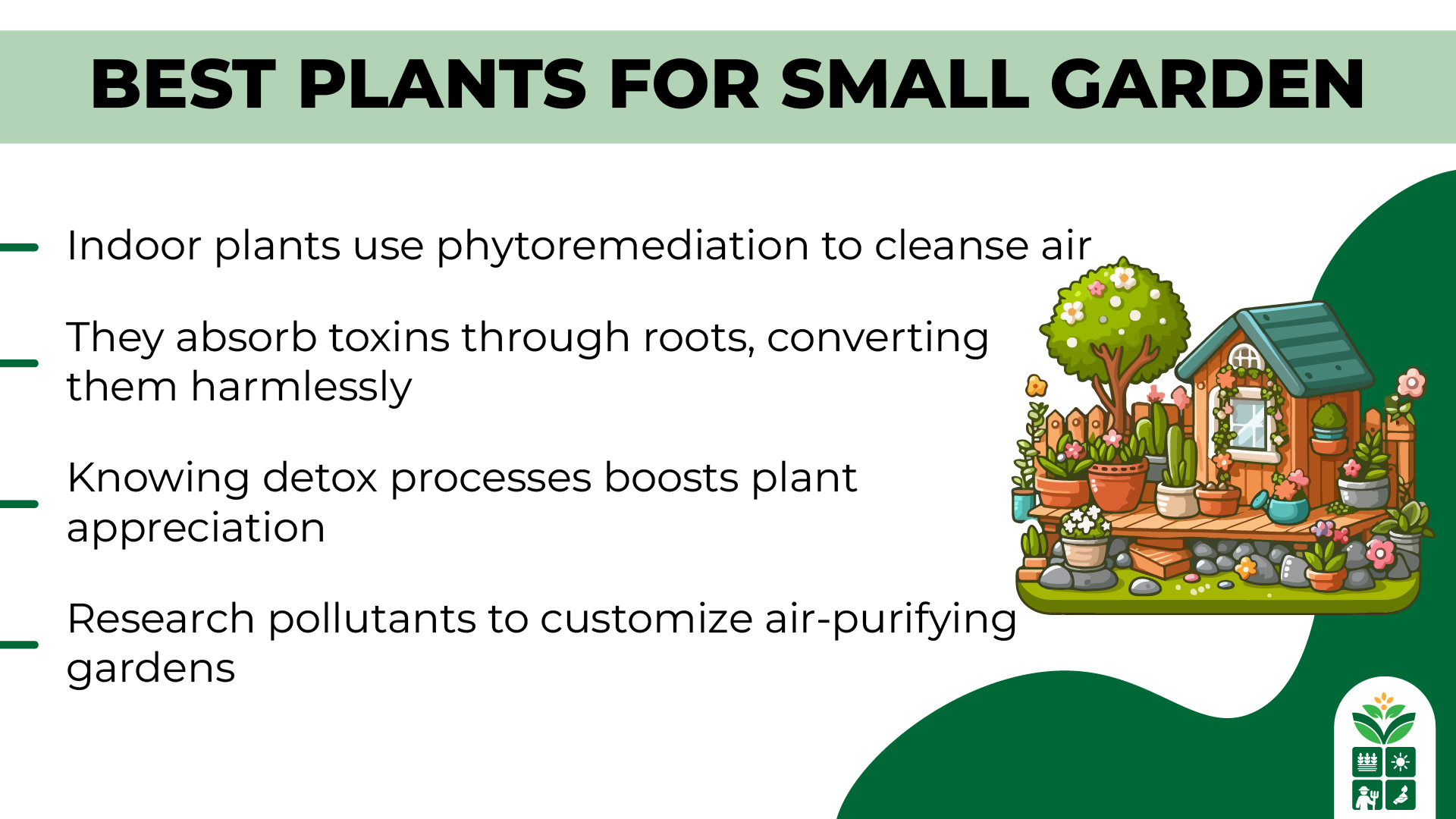 7 Best Indoor Plants for Air Purification - Indoor Air Purification Plants For Small Spaces