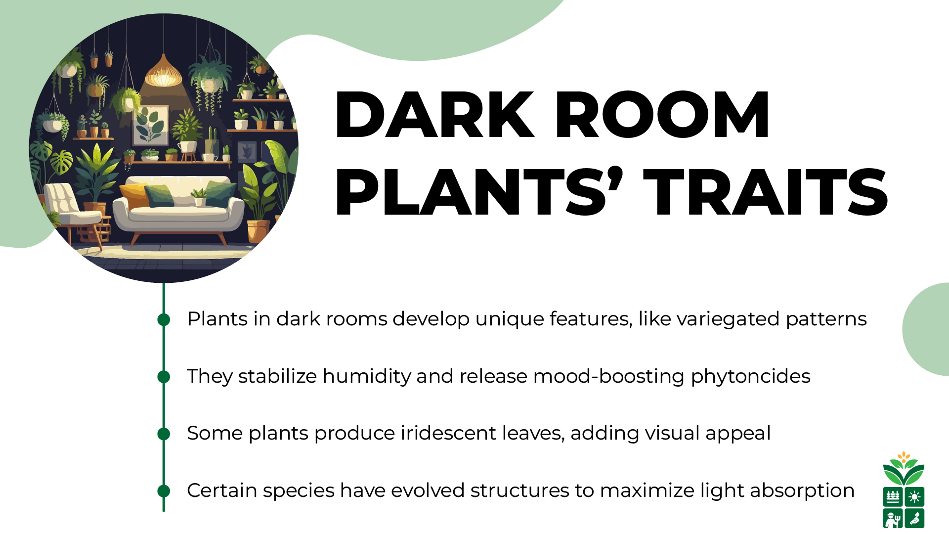 7 Best Indoor Plants for Dark Room
