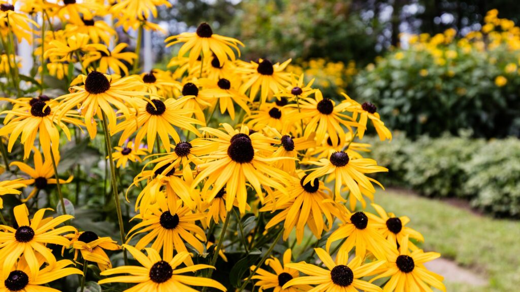 9 Best Plants to Grow In Utah That Are Lush & Easy to Care