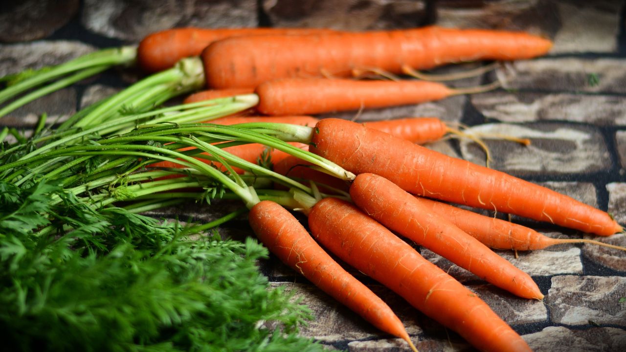 Vegetables: Over 100 Vegetable-Forward Recipes main image 1