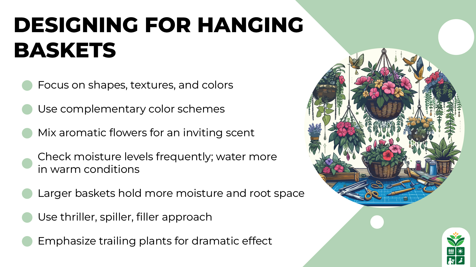 9 Best Annuals for Hanging Baskets