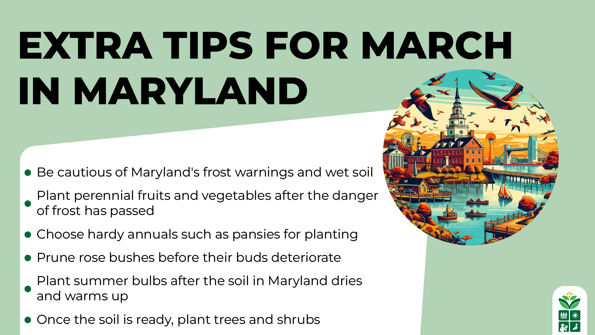 9 Best Perennials for Maryland for YearRound Color