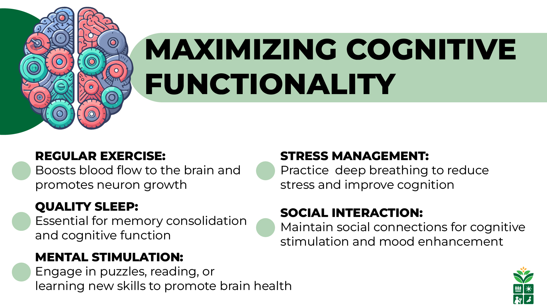 9 Spices That Improve Cognitive Brain Performance Naturally 9 Spices That Improve Cognitive Brain Performance Naturally