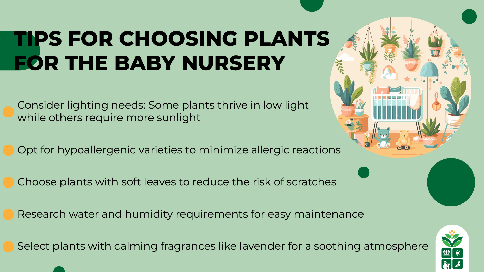7 Best Plants for Baby Nursery That are Kids Friendly