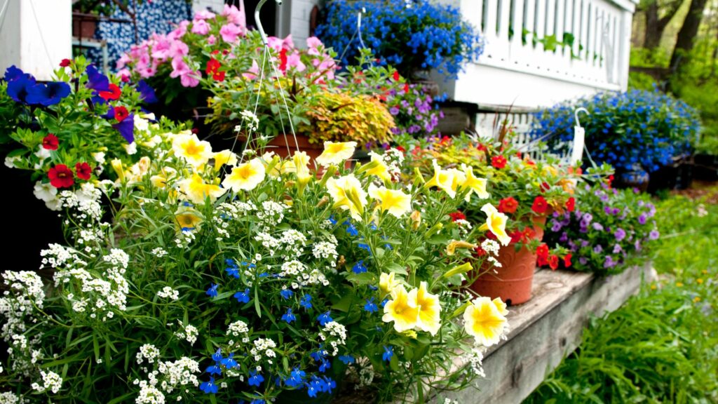 8 Best Flowers for Shaded Porch