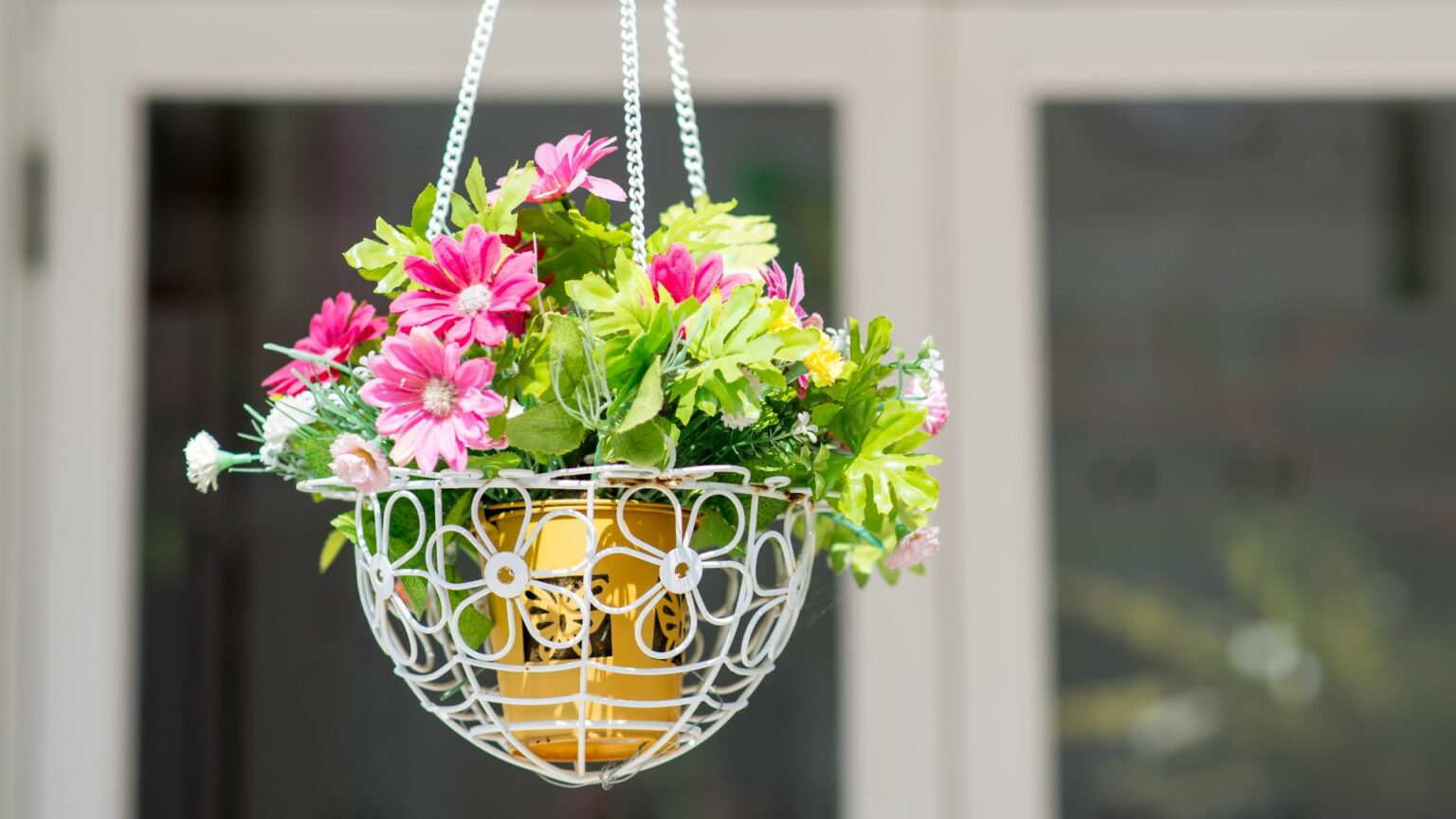 9 Best Perennials for Hanging Baskets