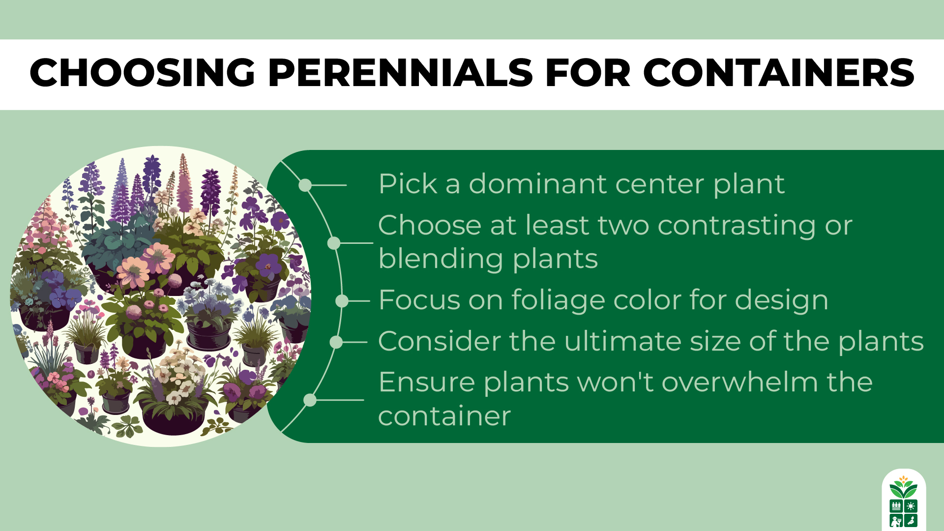 Best Perennials For Containers