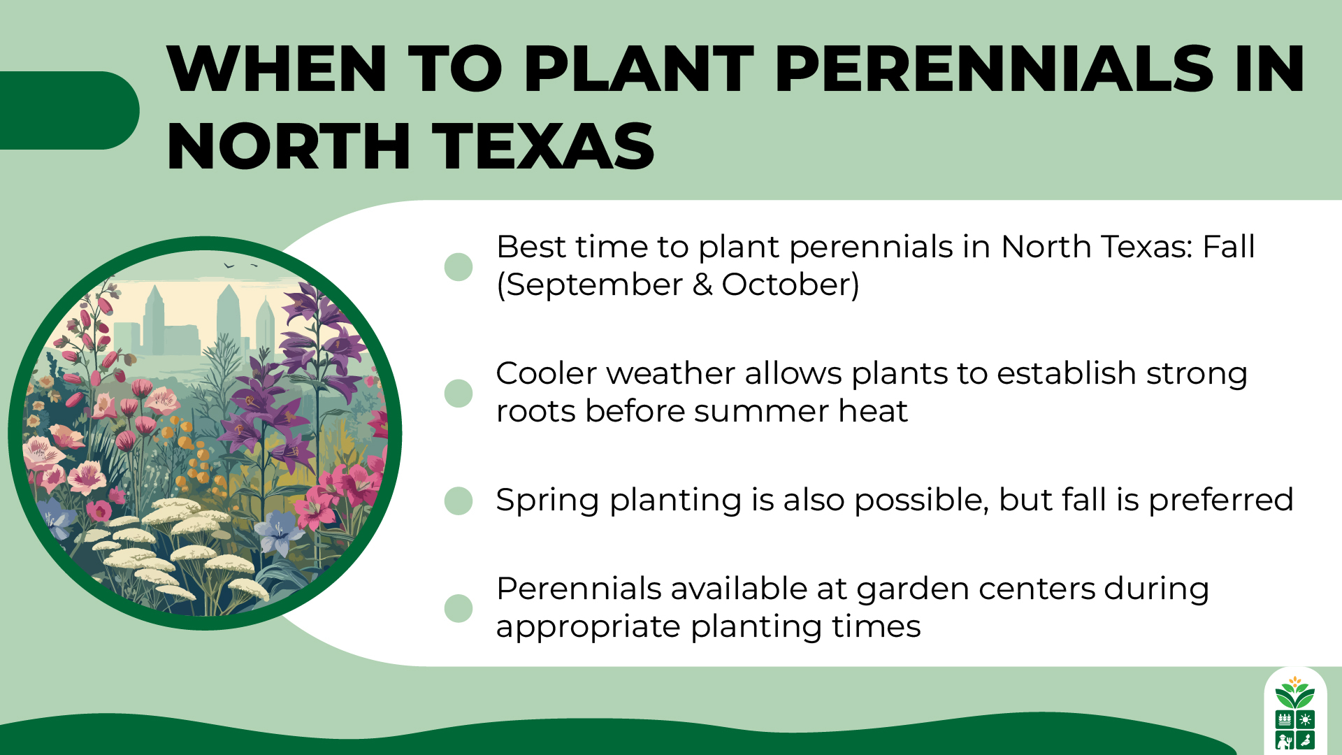 7 Best Perennials For North Texas 7-best-perennials-for-north-texas