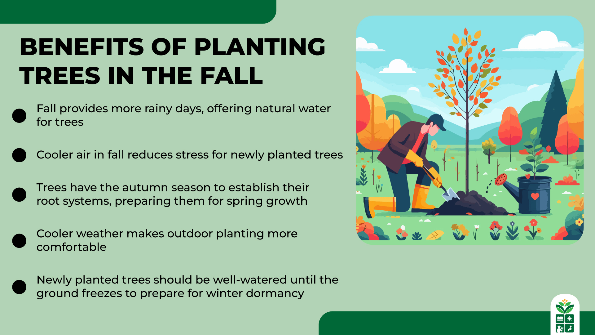 7 Best Trees to Plant in Fall