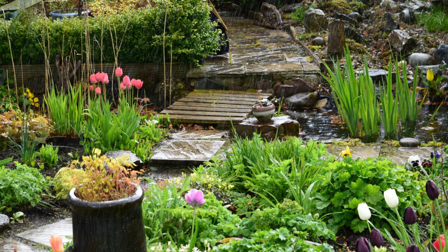Photo inspiration: Rain Garden Plants For Wet Soil Reference: 10 Best Plants For Rain Garden