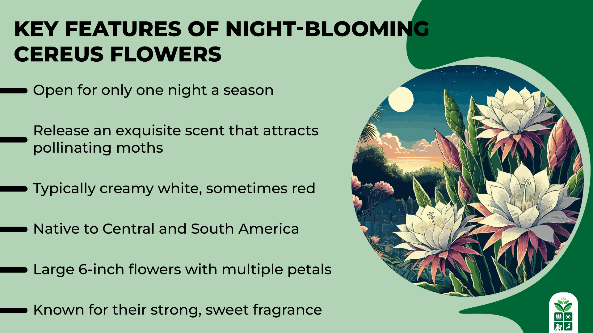 10 Most Elegant Flowers in the World