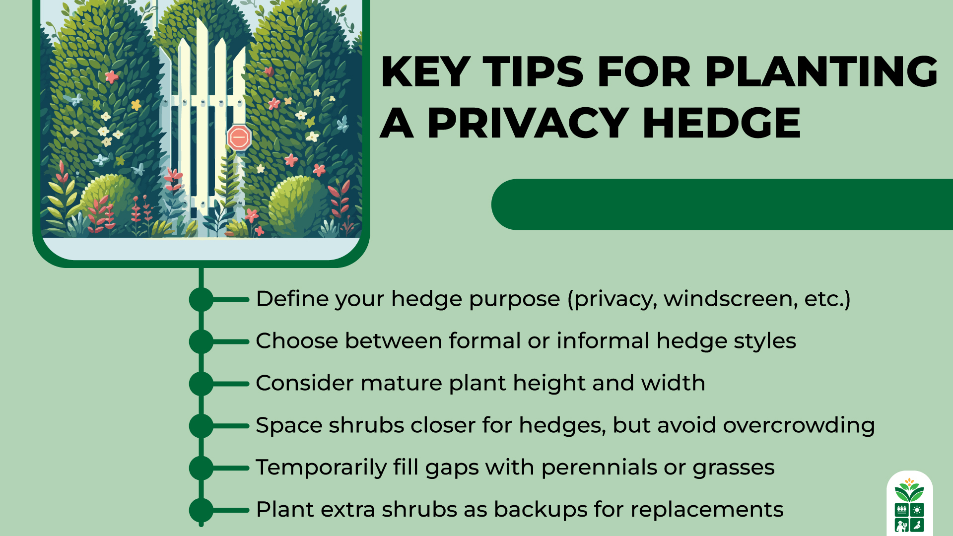 7 Best Evergreen Shrubs for Privacy