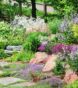 Plants for Rock Gardens