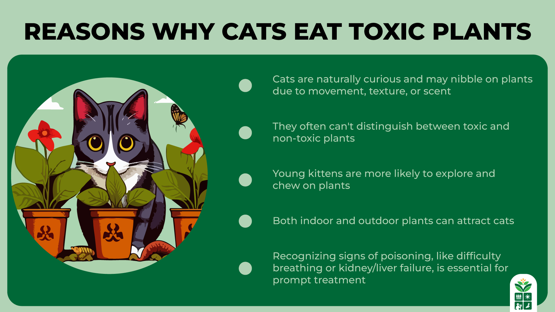 9 Popular and Most Toxic Flowers to Cats