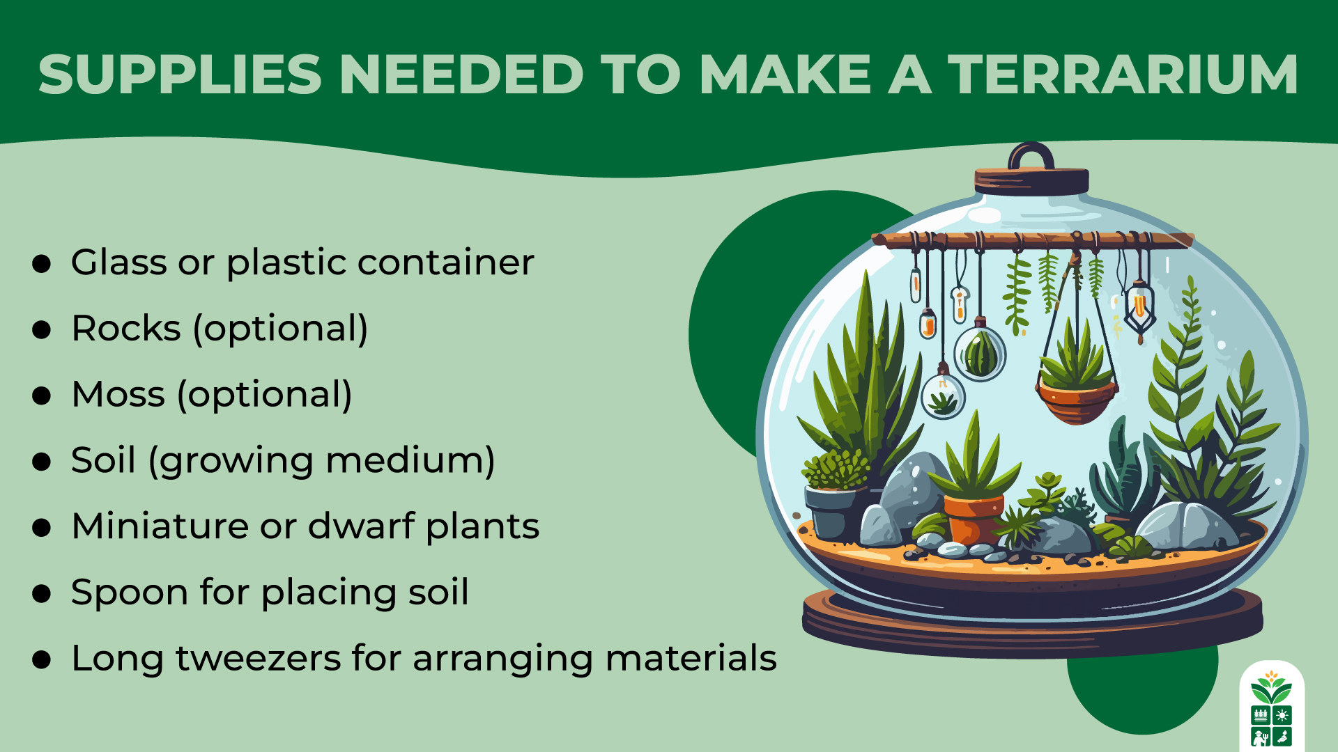 Basic Terrarium 10 Best Plants to Grow in Your Terrariums