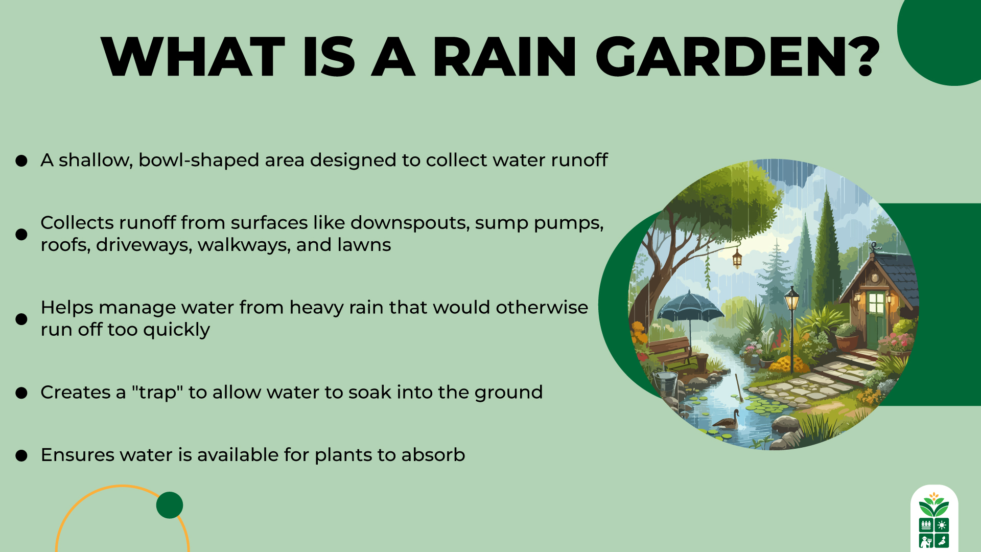 Gallery Detail: 10 Best Plants For Rain Garden